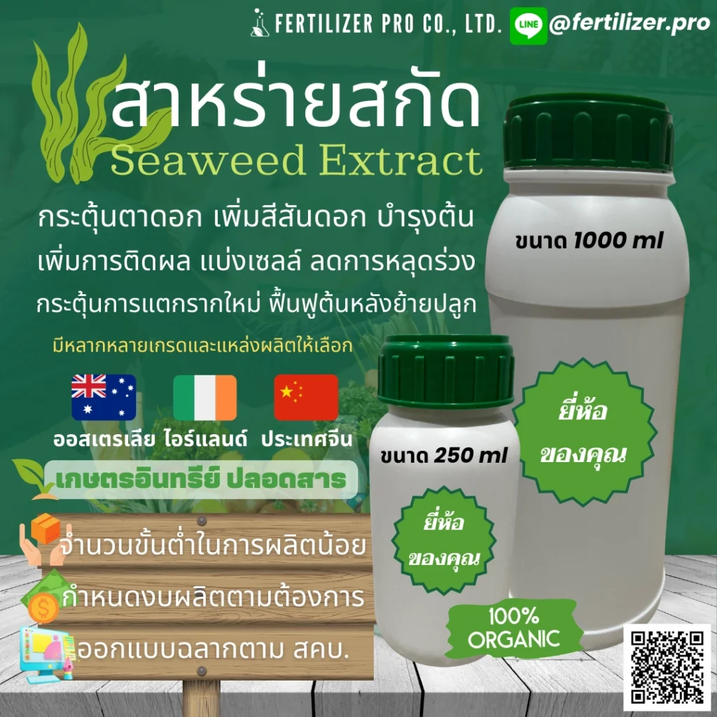 สาหร่ายสกัด