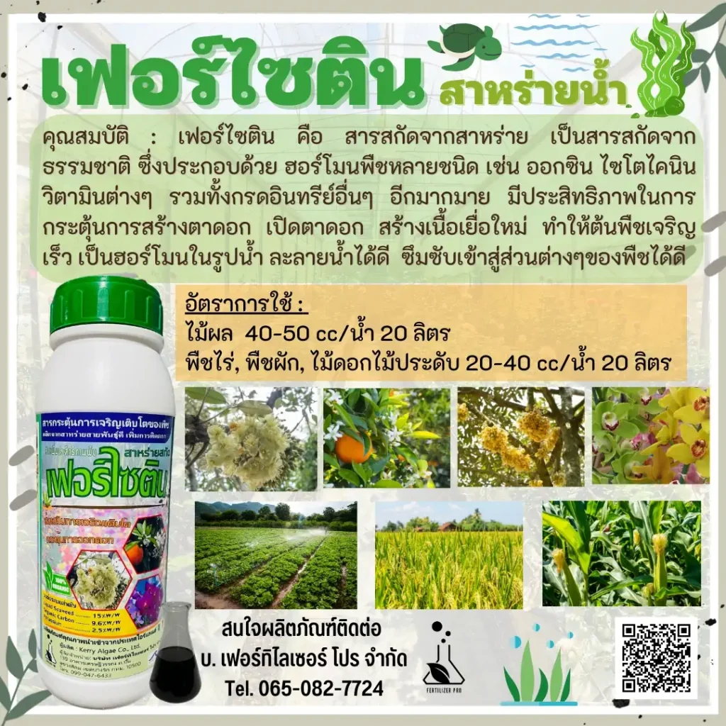 เฟอร์ไซติน
